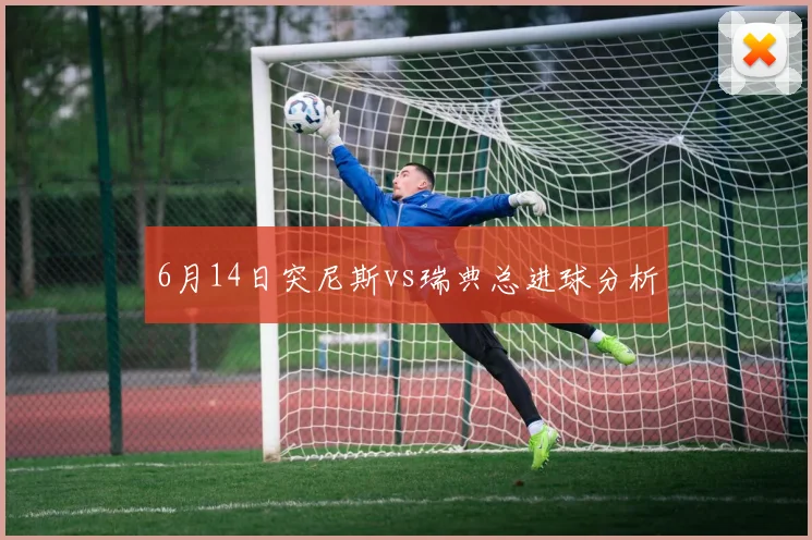 6月14日突尼斯vs瑞典总进球分析