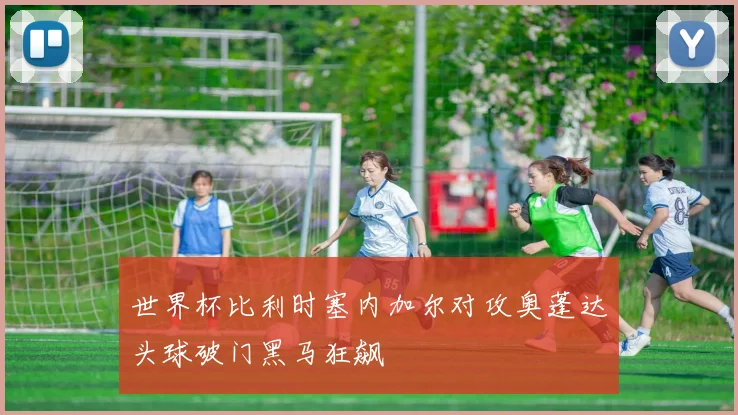 世界杯比利时塞内加尔对攻奥蓬达头球破门黑马狂飙