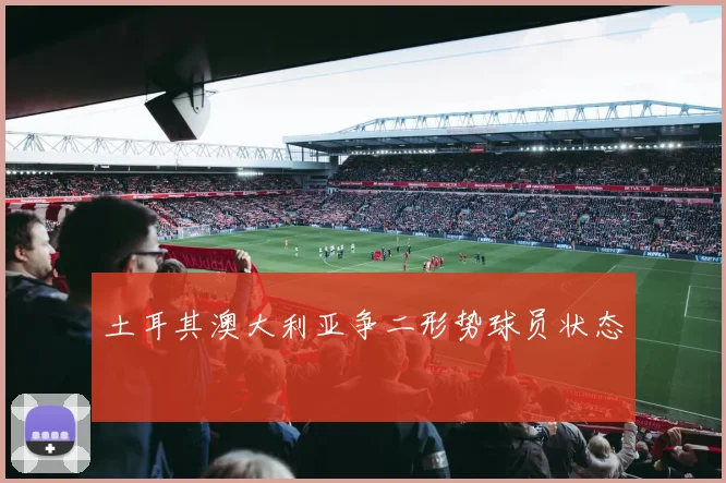 土耳其澳大利亚争二形势球员状态