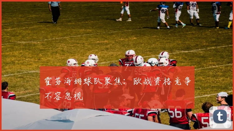 霍芬海姆球队聚焦:欧战资格竞争不容忽视