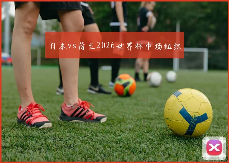 日本vs荷兰2026世界杯中场组织
