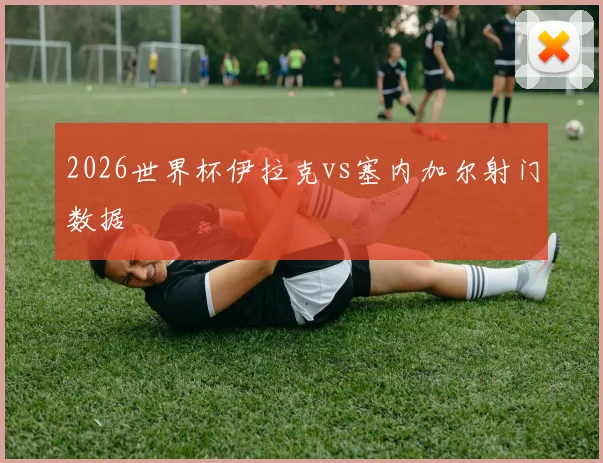 2026世界杯伊拉克vs塞内加尔射门数据