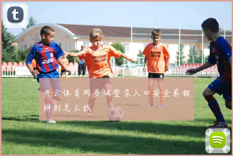 开云体育网页端登录入口安全真假辨别怎么找