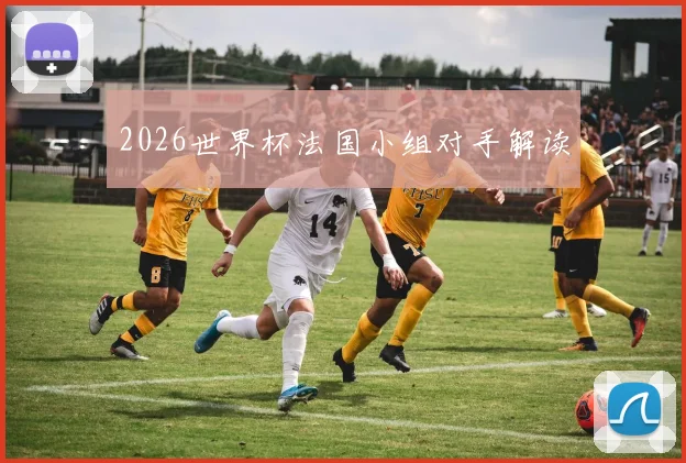 2026世界杯法国小组对手解读