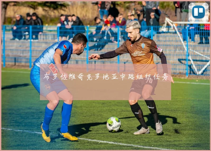 布罗佐维奇克罗地亚中路组织任务