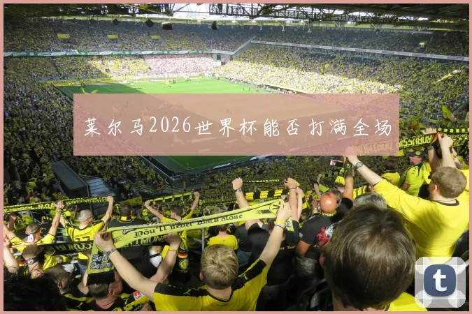 莱尔马2026世界杯能否打满全场